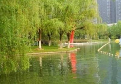 合肥天鵝湖的面積多少